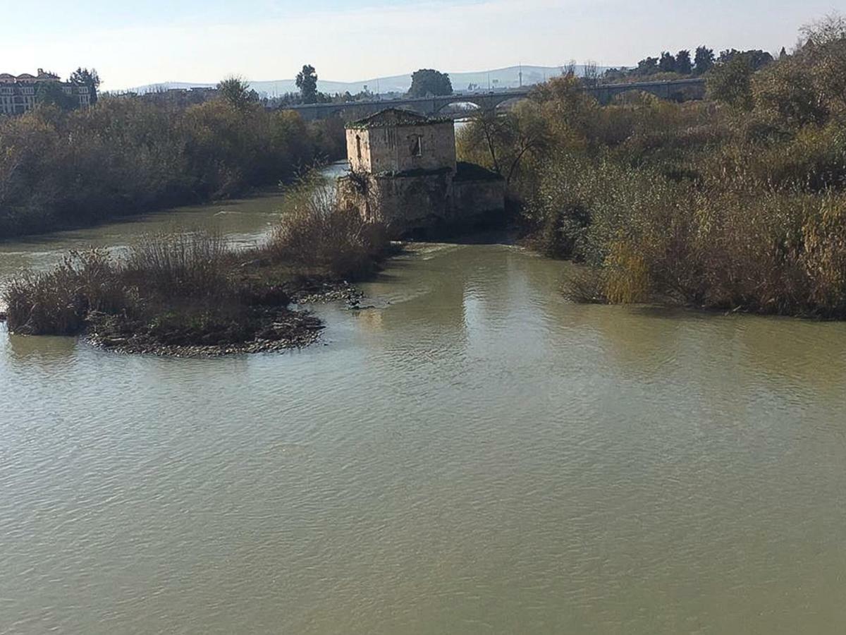 Apartamento El mirador de la Mezquita-Catedral Córdoba Exterior foto