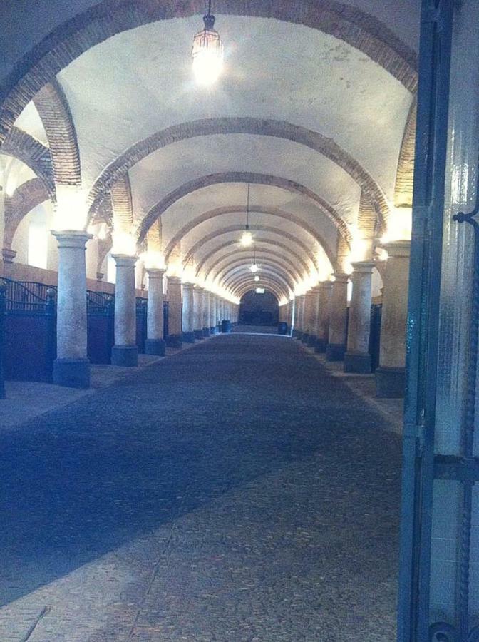 Apartamento El mirador de la Mezquita-Catedral Córdoba Exterior foto